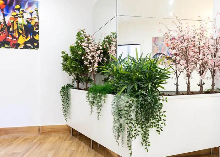 Ilustre Center Malaga
