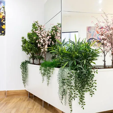 Ilustre Center Malaga